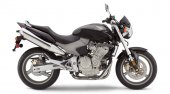 2007 Honda 599 photo
